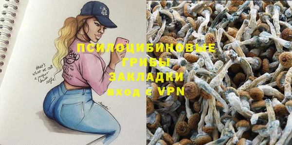 mdpv Переславль-Залесский