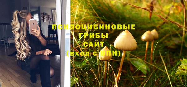 сатива Пестово