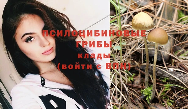 сатива Пестово