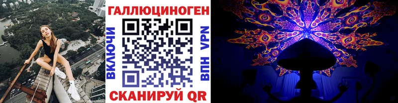 как найти наркотики  Светлогорск  площадка клад  Псилоцибиновые грибы ЛСД 