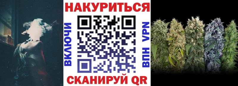 закладка  Светлогорск  Конопля сатива 